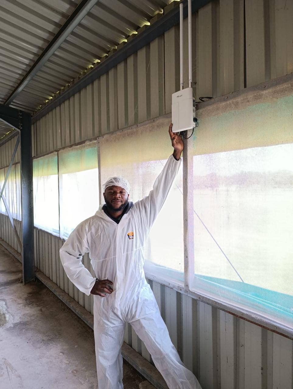 Engineer installing a Milesight LoRaWAN gateway in a poultry house